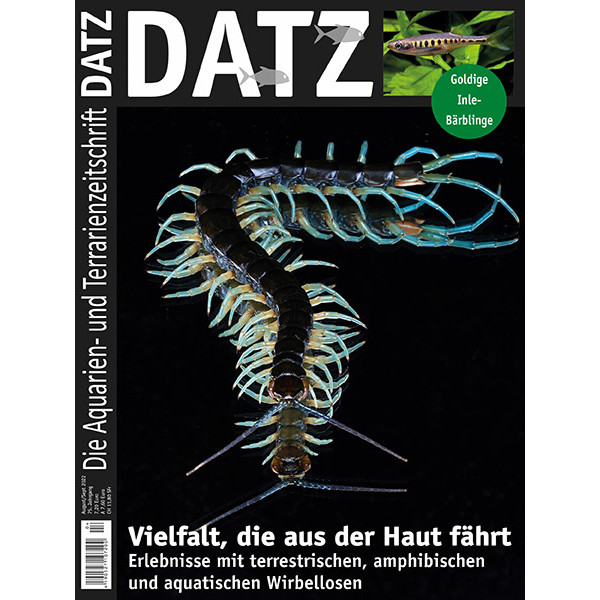 DATZ 2022 - 04 Vielfalt, die aus der Haut fährt (August/September)