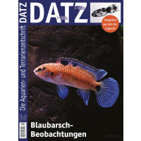 DATZ 2022 - 05 Blaubarschbeobachtungen (Oktober/November)