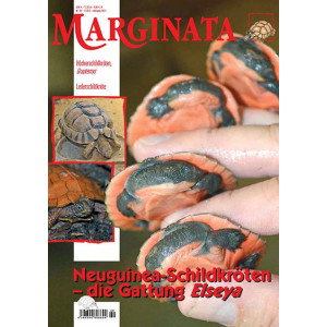 Marginata 69 - Neuguinea-Schildkr&ouml;te