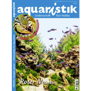 aquaristik 6/2022