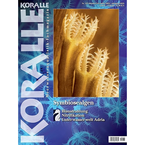 KORALLE 137 -  Symbiosealgen (Oktober/November) 2022