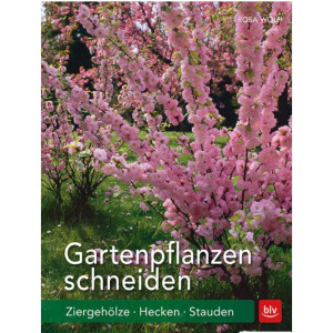 Gartenpflanzen schneiden - Ziergeh&ouml;lze, Hecken,...