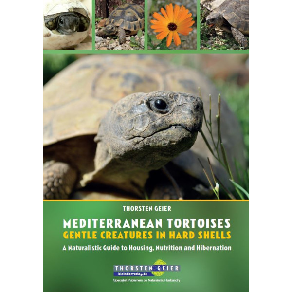 MEDITERRANEAN TORTOISES - GENTLE CREATURES IN HARD SHELLS