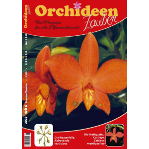 Orchideen Zauber 6 (November/Dezember 2022)