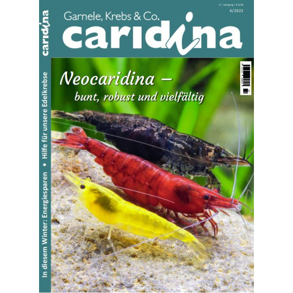 Caridina 4/2022