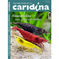 Caridina 4/2022