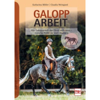 Galopparbeit - Wie Galopparbeit das Pferd verbessert - typische Probleme und Lösungen
