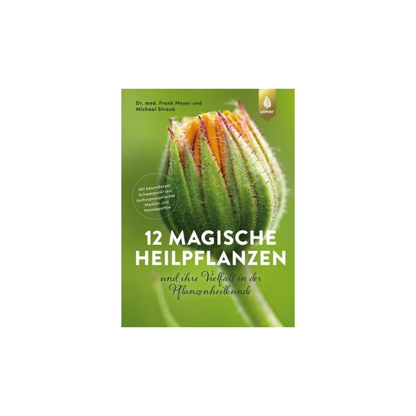 12 magische Heilpflanzen - und ihre Vielfalt in der Pflanzenheilkunde