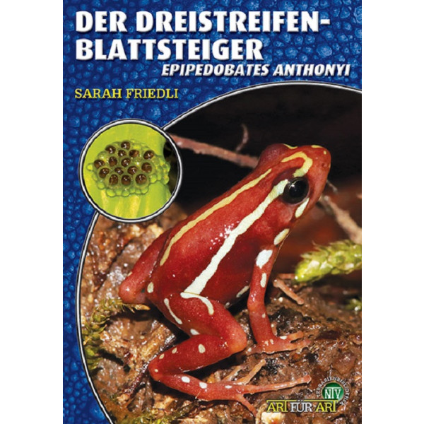 Der Dreistreifen-Blattsteiger