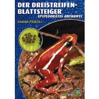Der Dreistreifen-Blattsteiger