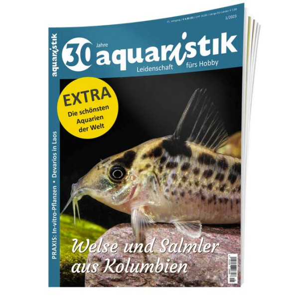 aquaristik 1/2023