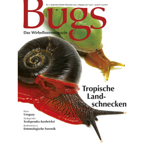 Bugs 3 - Tropische Landschnecken...
