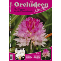 Orchideen Zauber 1 (Januar/Februar 2023)