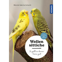 Wellensittiche - So geht es deinen Tieren gut