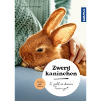 Zwergkaninchen - So geht es deinen Tieren gut