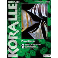 KORALLE 139 - Pinzettfische (Februar/März 2023)