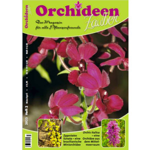 Orchideen Zauber 2 (März/April) 2023)