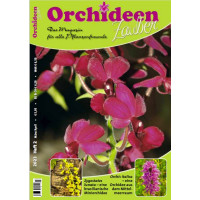 Orchideen Zauber 2 (März/April) 2023)