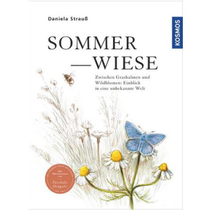 Sommerwiese - Zwischen Grashalmen und Wildblumen:...