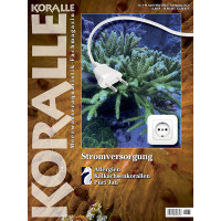 KORALLE 140 - Stromversorgung (April/Mai 2023)