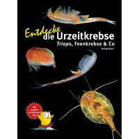 Entdecke die Urzeitkrebse - Triops, Feenkrebse & Co