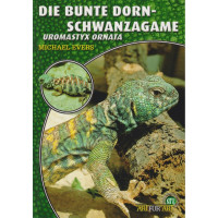 Die Bunte Dornschwanzagame