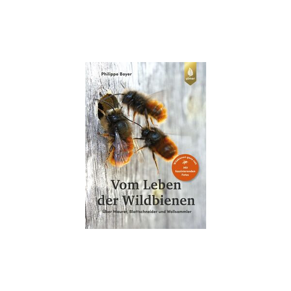 Vom Leben der Wildbienen - Über Maurer, Blattschneider 