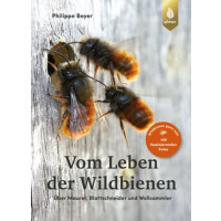 Vom Leben der Wildbienen - Über Maurer, Blattschneider und Wollsammler