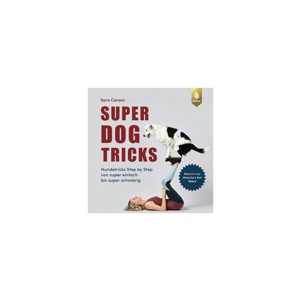 Super Dog Tricks - Hundetricks Step by Step von super einfac