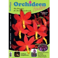 Orchideen Zauber 5 (September/Oktober 2013)