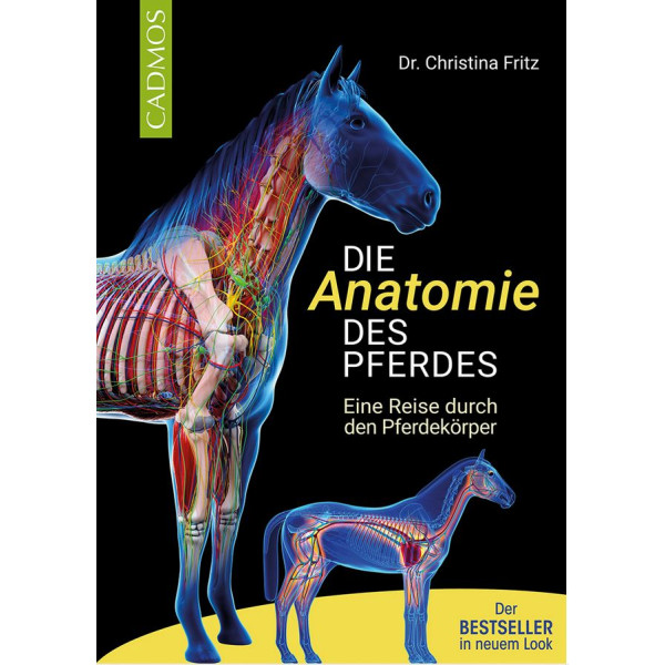 Die Anatomie des Pferdes - Eine Reise du box