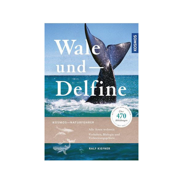 Wale und Delfine - Alle Arten weltweit - Verhalten, Biologie