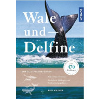 Wale und Delfine - Alle Arten weltweit - Verhalten, Biologie und Verbreitungsgebiete