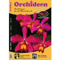Orchideen Zauber 4 (Juli/August 2013)