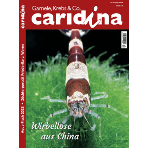 Caridina 2/2023