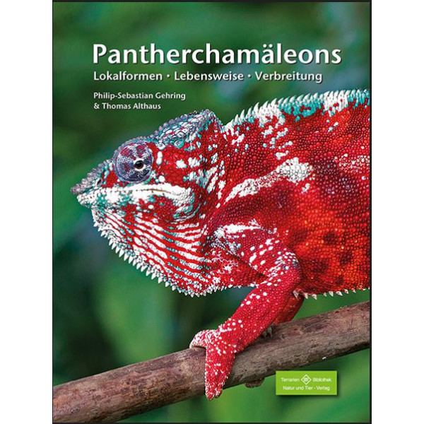 Pantherchamäleons – Lokalformen, Lebensweise, Ver