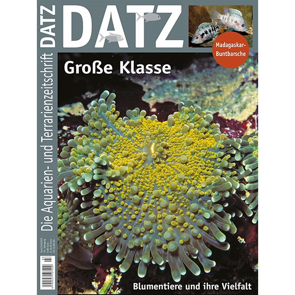 DATZ 2023 - 03 Blumentiere und ihre Vielfalt (Juni/Juli)