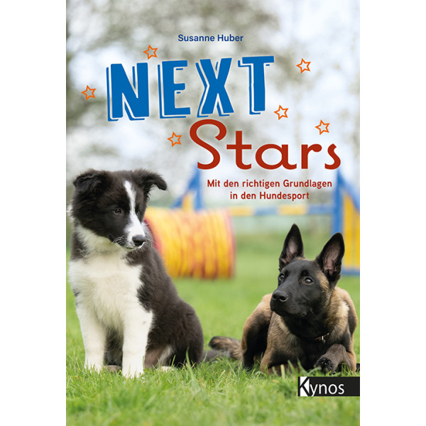 Next Stars - Mit den richtigen Grundlage box