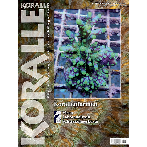 KORALLE 141 - Korallenfarmen (Juni/Julii 2023)
