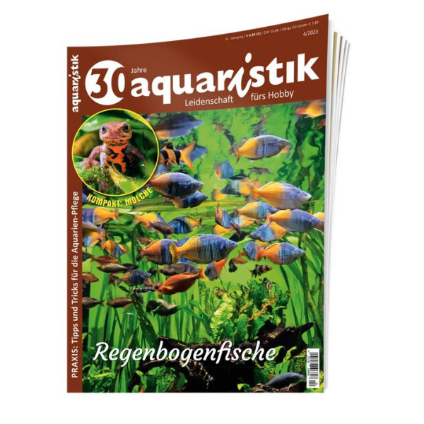 aquaristik 4/2023