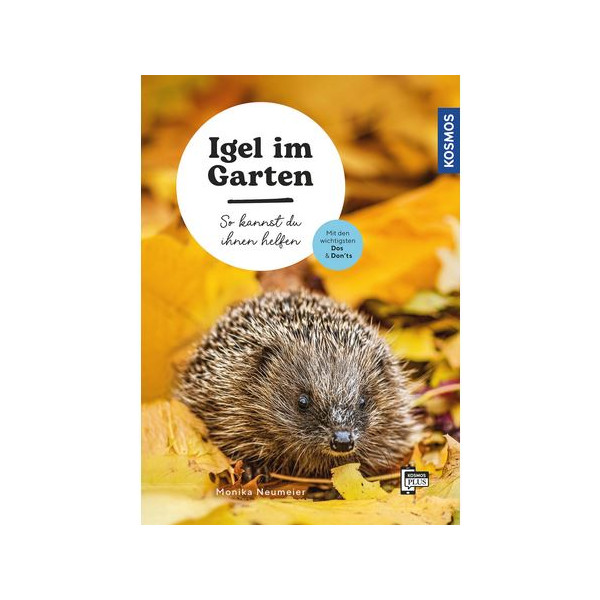 Igel im Garten - So kannst du ihnen helfen
