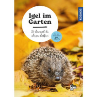 Igel im Garten - So kannst du ihnen helfen