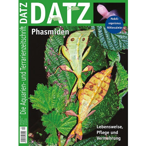 DATZ 2023 - 04 Phasmiden (August/September)