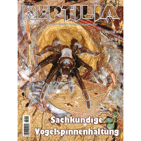 Reptilia 162 - Sachkundige Vogelspinnenhaltung (August/September 2023)