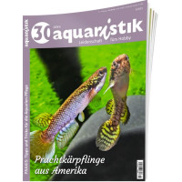 aquaristik 5/2023