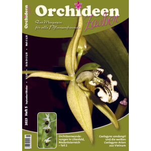 Orchideen Zauber 5 (September/Oktober 2023)