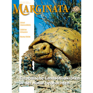 Marginata 44 - Europäische Landschildkröten in...