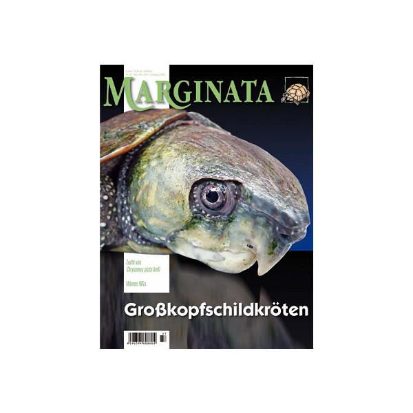 Marginata 39 - Großkopfschildkröten