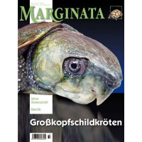 Marginata 39 - Großkopfschildkröten