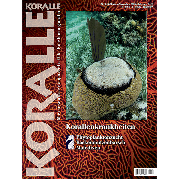 KORALLE 143 - Korallenkrankheiten (Oktober/November 2023)